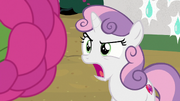 Sweetie Belle pregunta indignada ''en serio'' T7E6