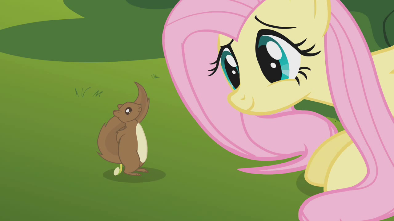 Мои маленькие пони 2019. Fluttershy. Пони кролик. Май прети пони оригинал. Fluttershy crying s8e13.