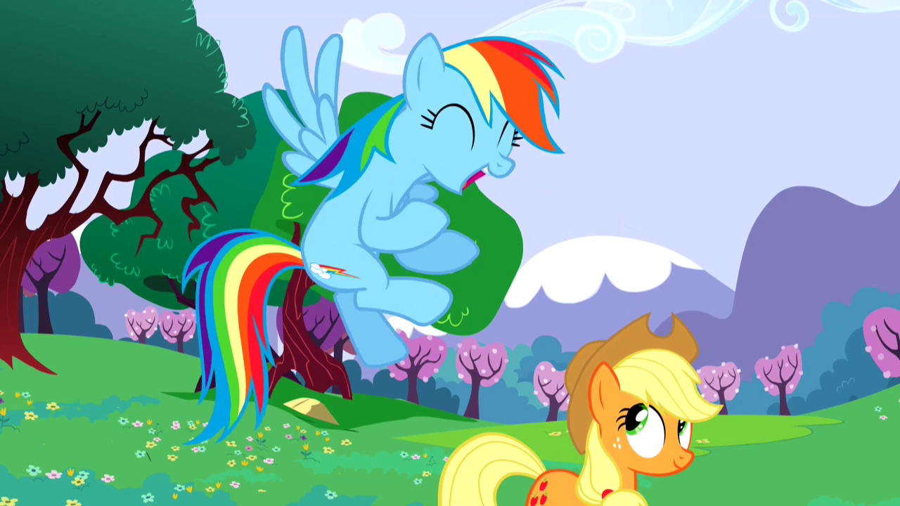 Image - Rainbow Dash excited about sonic rainboom S02E25 ...