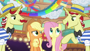 Flim preguntando la talla de Fluttershy T6E20