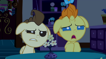 Family And Relatives My Little Pony Friendship Is Magic Wiki
