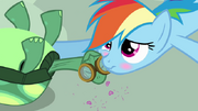 640px-Rainbow Dash affectionatly blushing S3E11