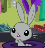 Bernard Rabbit ID S6E20