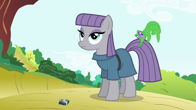 File:Maud Pie with Gummy biting on her tail S4E18.png