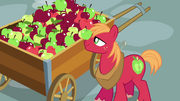 Big McIntosh with an apple on his nose S4E21