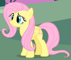 Fluttershy ID S1E17