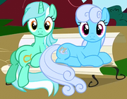Lyra