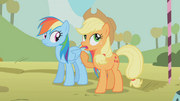 Rainbow Dash and Applejack S01E13