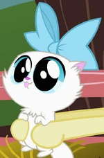 Unnamed Kitten ID S2E7