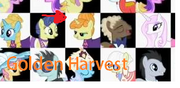 Mlp cuadro
