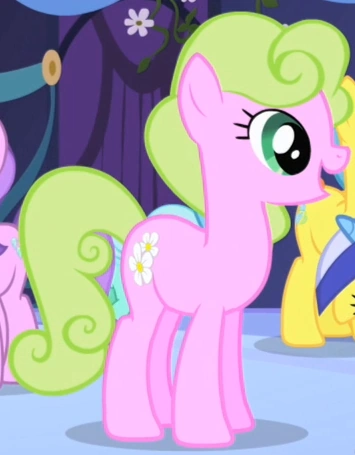 Mlp Pinger Pl