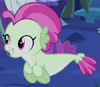 UMBH3 seapony form ID S8E6