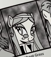 Comic issue 11 Young Wheat Grass