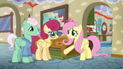 Fluttershy --you do everything for him!-- S6E11