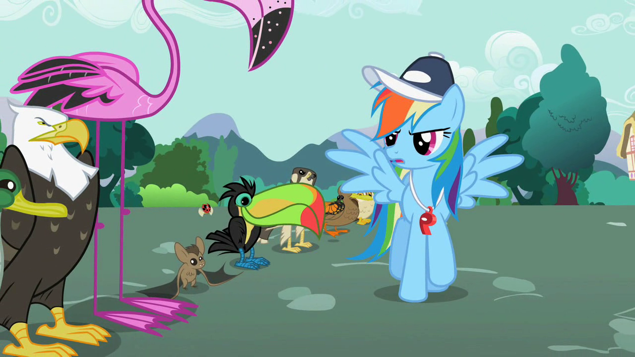 may the best pet win my little pony friendship is magic wiki