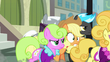 Applejack overwhelmed by Manehattan ponies S5E16