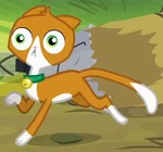 Unnamed Cat 6 ID S4E9