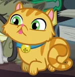 Unnamed Cat 11 ID S4E9