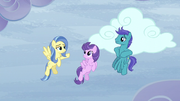 Sunshower -So you're Open Skies- S5E5