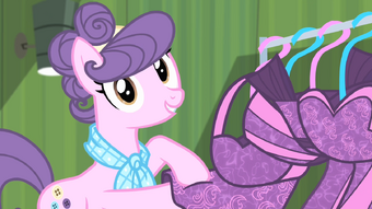 Image result for mlp Suri Polomare