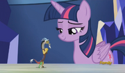 Mlp 5