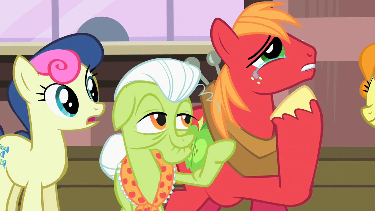 Image Granny Smith comforts Big McIntosh S02E14.png My Little Pony