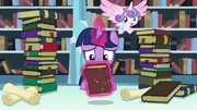 Twilight levitates Hayhoof's Intonements S6E2