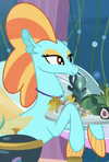 UFH4 seapony form ID S8E6