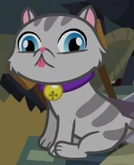 Unnamed Cat 2 ID S4E9