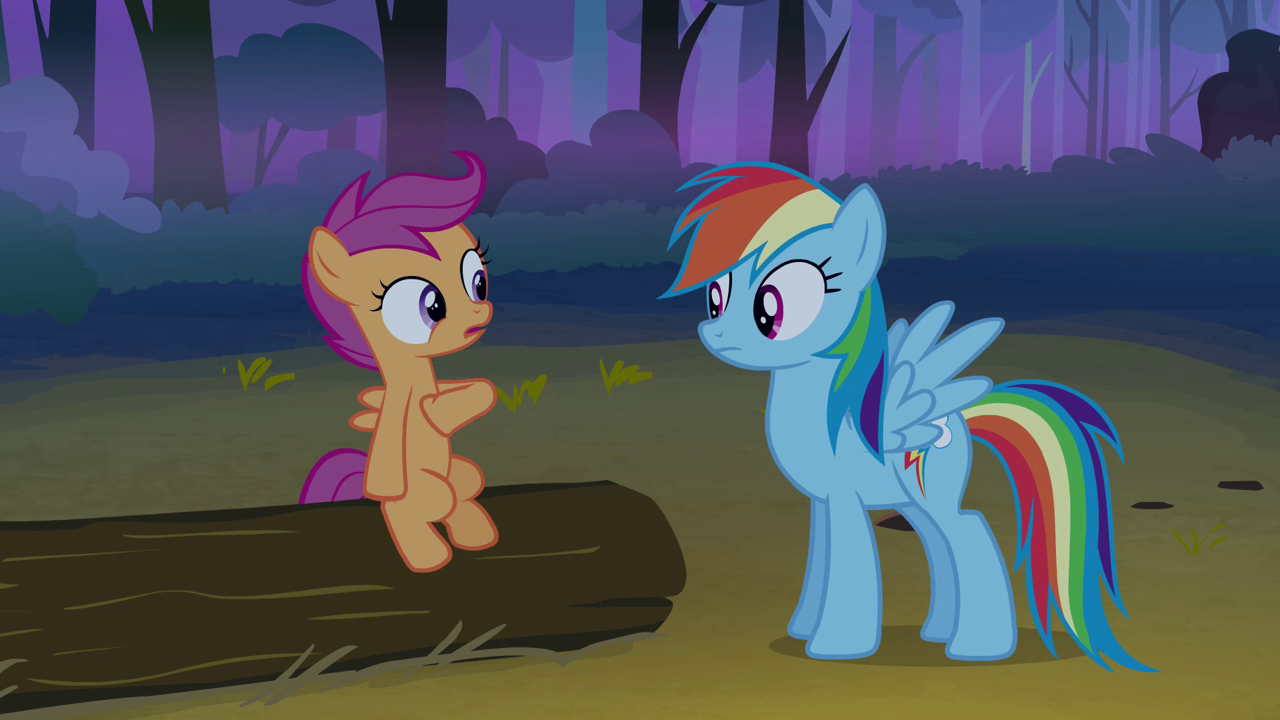 my little pony explore ponyville rainbow dash