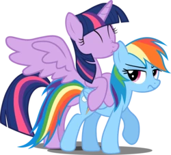 my little pony twilight sparkle and rainbow dash