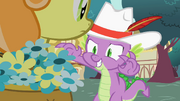 Junebug Ok...weird S2E10
