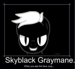 286px-SomerandombullshitaboutSkyblacklol