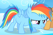 Filly Rainbow Dash
