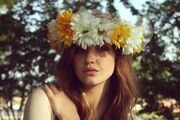 Daisies