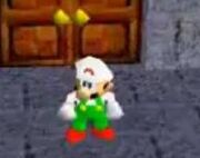 TabbyLuigi