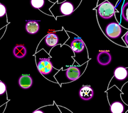 Dimensional Map smaller (Labeled)