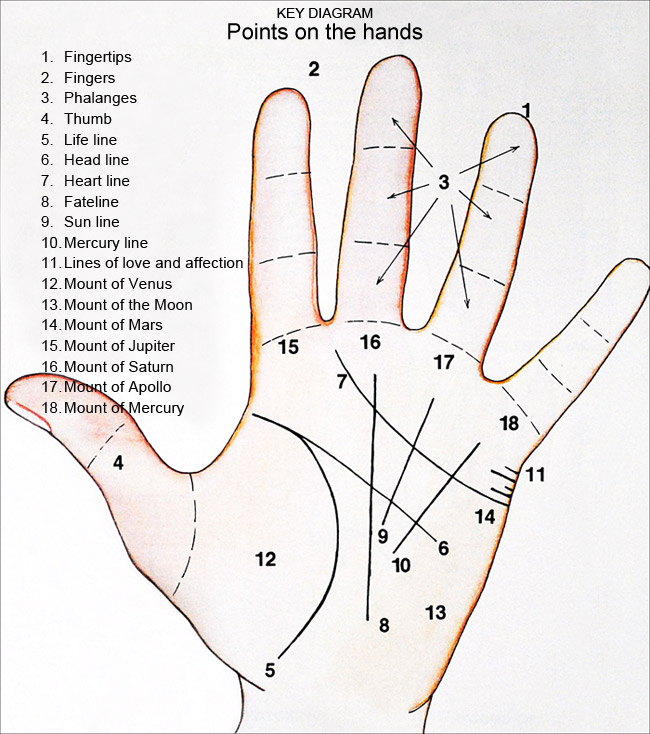 image palm reading right hand chart 509 jpg mischief managed palm reading chart