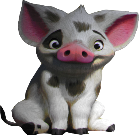 Moana Characters Pig