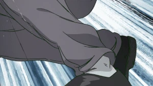 Reigendropkick