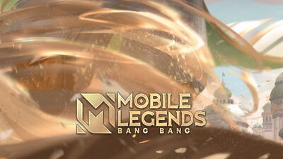 Fighter Mobile Legends Bang Bang Wiki Fandom