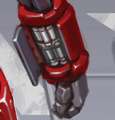 Muscle Cylinders in Osprey forearm