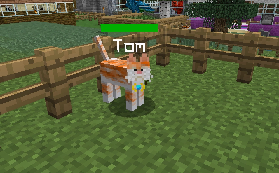 Изображение Orange white kitty.png Mo' Creatures Wiki FANDOM