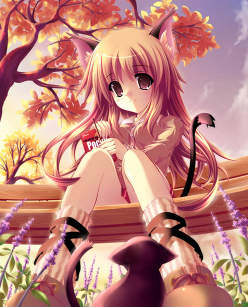 image anime catgirl large msg 116223818958 jpg modern