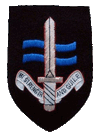 SBS badge