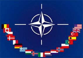 Nato 1 1
