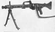 Ameli1