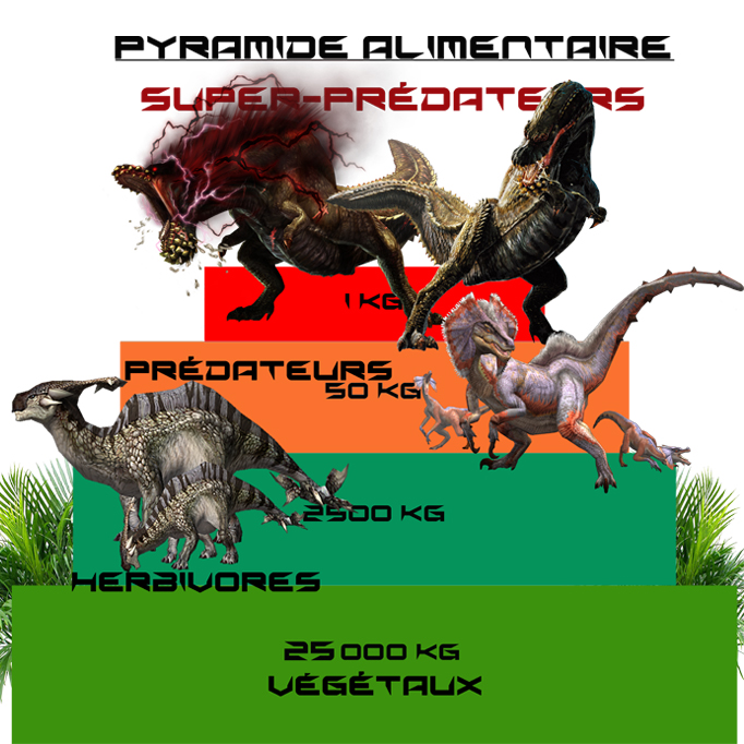 Pyramide Alimentaire Correction