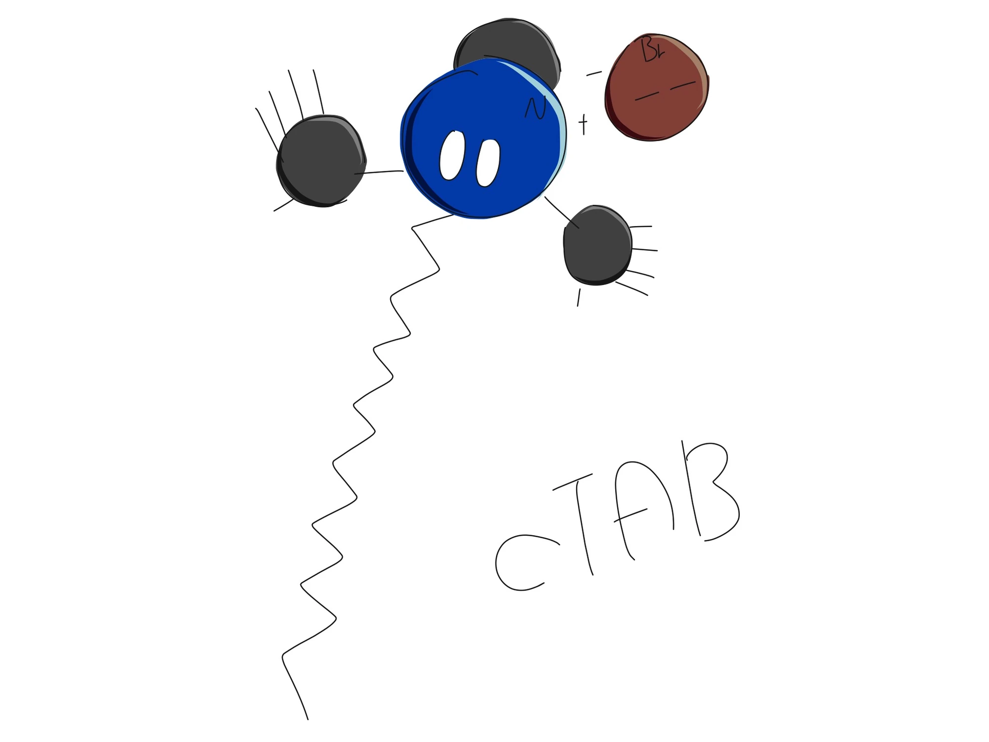 CTAB 분자생물학 위키 Fandom