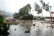 Bão-đất liền